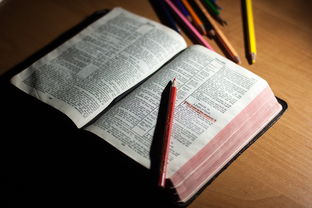 体育教师能力认证制度在试点城市启动，体育教师资格证认定条件