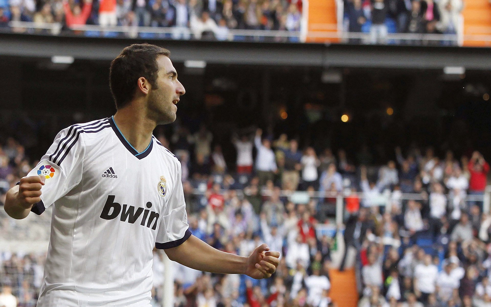 攀岩运动普及力度加强，攀岩运动普及力度加强的原因